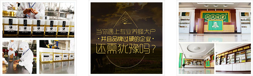 公司简介